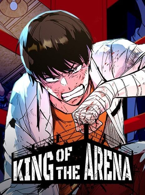 King of the Arena FR Cover Image